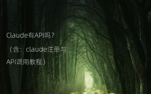 Claude有API吗？（含：claude注册与API调用教程）