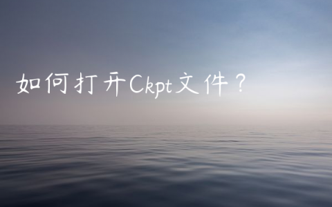 如何打开Ckpt文件？