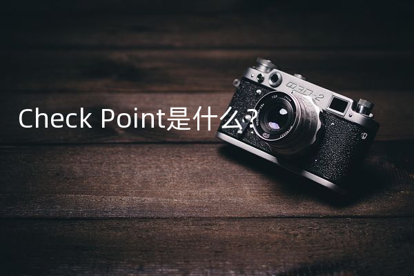 Check Point是什么？