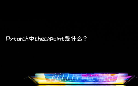 Pytorch中checkpoint是什么？